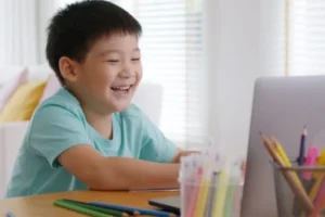 meaning of virtual visitation