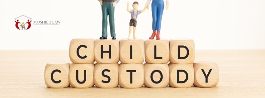 what is custody evaluation