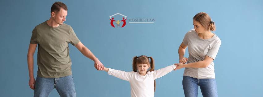 how much does a custody battle cost